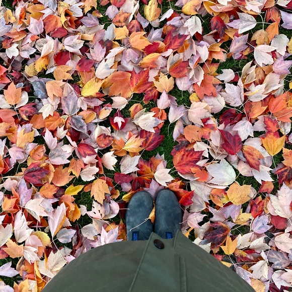 Meet your Posher, Mari - Picture 1 of 1